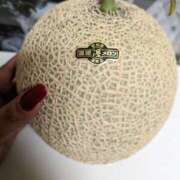 ヒメ日記 2025/07/30 10:56 投稿 あかり 素人妻御奉仕倶楽部Hip's松戸店