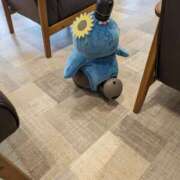 ヒメ日記 2025/08/18 09:17 投稿 あかり 素人妻御奉仕倶楽部Hip's松戸店