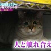 ヒメ日記 2025/09/23 16:18 投稿 るな ぽちゃ巨乳専門　新大久保・新宿歌舞伎町ちゃんこ