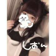 ヒメ日記 2026/01/31 22:09 投稿 しおん 素人系イメージSOAP彼女感大宮館