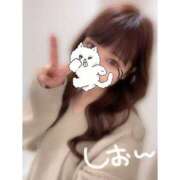 ヒメ日記 2026/02/25 07:45 投稿 しおん 素人系イメージSOAP彼女感大宮館