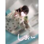 ヒメ日記 2026/09/02 22:23 投稿 しおん 素人系イメージSOAP彼女感大宮館