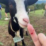 ヒメ日記 2025/09/17 13:50 投稿 おかゆちゃん Cawaiiハイ！スクールリターンズ