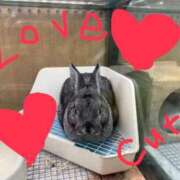 おかゆちゃん GU Cawaiiハイ！スクールリターンズ