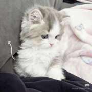 ヒメ日記 2026/04/11 12:08 投稿 【こはく】ドキドキ初挑戦 おねだり宮崎