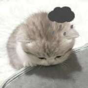 ヒメ日記 2026/04/19 06:18 投稿 【こはく】ドキドキ初挑戦 おねだり宮崎