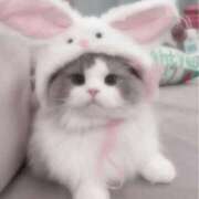 ヒメ日記 2026/04/21 16:18 投稿 【こはく】ドキドキ初挑戦 おねだり宮崎