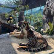 ヒメ日記 2025/03/20 21:25 投稿 超超超危険地帯『XYZ』 GOOD-グッド-