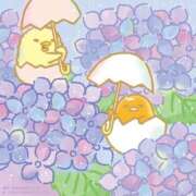 ヒメ日記 2025/06/07 19:12 投稿 超超超危険地帯『XYZ』 GOOD-グッド-