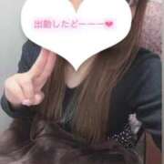 ヒメ日記 2024/12/23 16:10 投稿 みあ チェックイン素人専門大人女子