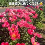 ヒメ日記 2025/01/22 14:19 投稿 みあ チェックイン素人専門大人女子