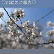 ヒメ日記 2025/04/08 18:49 投稿 みあ チェックイン素人専門大人女子