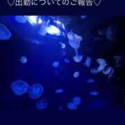 ヒメ日記 2025/04/16 02:39 投稿 みあ チェックイン素人専門大人女子