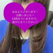 ヒメ日記 2025/04/19 15:09 投稿 みあ チェックイン素人専門大人女子