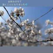 ヒメ日記 2025/04/23 11:59 投稿 みあ チェックイン素人専門大人女子