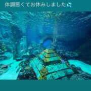 ヒメ日記 2025/05/07 16:29 投稿 みあ チェックイン素人専門大人女子