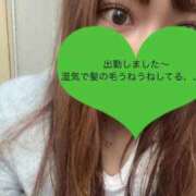 ヒメ日記 2025/06/25 15:49 投稿 みあ チェックイン素人専門大人女子