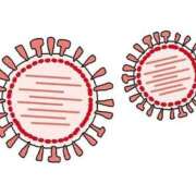 ヒメ日記 2026/02/20 11:08 投稿 れいむ 福島♂風俗の神様 郡山店