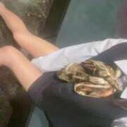 ヒメ日記 2025/06/04 21:08 投稿 こよみ 小柄で魅惑たっぷり♪ ウエスト・コム