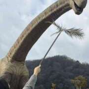 ヒメ日記 2026/03/17 13:41 投稿 なのは 熟女家 十三店