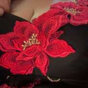 ヒメ日記 2024/12/23 09:10 投稿 夏木 おふくろ