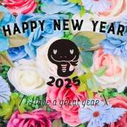 ヒメ日記 2025/01/02 09:07 投稿 夏木 おふくろ