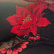 ヒメ日記 2025/12/28 10:30 投稿 夏木 おふくろ