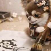 ヒメ日記 2026/01/30 07:59 投稿 夏木 おふくろ