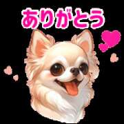 ヒメ日記 2026/02/25 11:19 投稿 夏木 おふくろ