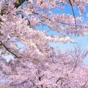 ヒメ日記 2026/03/01 08:34 投稿 夏木 おふくろ