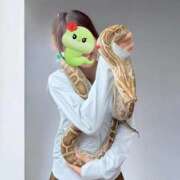 ヒメ日記 2025/09/11 21:21 投稿 石原 香織 コンフォート