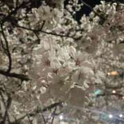 ヒメ日記 2025/04/07 07:45 投稿 歌里 ありさ コンフォート