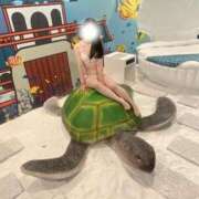 ヒメ日記 2025/09/25 16:41 投稿 組原 あめ コンフォート