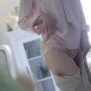 ヒメ日記 2025/12/14 20:51 投稿 雨宮 三葉 コンフォート