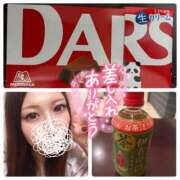 ヒメ日記 2025/02/13 09:35 投稿 北野 ほむら コンフォート