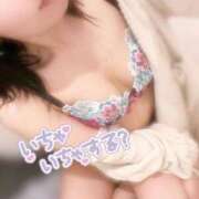 ヒメ日記 2025/04/21 19:51 投稿 羽川 のあ コンフォート