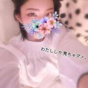 ヒメ日記 2025/04/28 16:21 投稿 羽川 のあ コンフォート