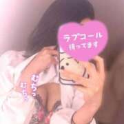 ヒメ日記 2025/05/28 12:22 投稿 羽川 のあ コンフォート