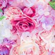 ヒメ日記 2025/06/18 23:01 投稿 羽川 のあ コンフォート