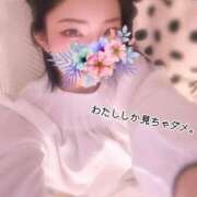 ヒメ日記 2025/07/27 14:41 投稿 羽川 のあ コンフォート