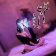 ヒメ日記 2025/08/17 12:21 投稿 羽川 のあ コンフォート