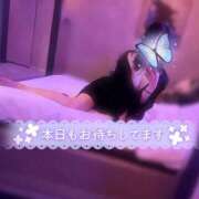 ヒメ日記 2025/08/24 12:21 投稿 羽川 のあ コンフォート