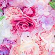 ヒメ日記 2025/09/22 23:31 投稿 羽川 のあ コンフォート