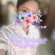 ヒメ日記 2025/11/22 10:33 投稿 羽川 のあ コンフォート