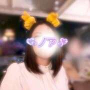 ヒメ日記 2026/02/15 12:30 投稿 羽川 のあ コンフォート