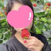 ヒメ日記 2025/04/14 12:32 投稿 神谷 さおり コンフォート