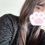 ヒメ日記 2024/12/17 08:46 投稿 白鳥 せいら コンフォート