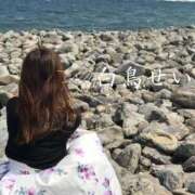 ヒメ日記 2025/01/15 09:47 投稿 白鳥 せいら コンフォート