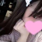 ヒメ日記 2025/03/23 13:48 投稿 白鳥 せいら コンフォート