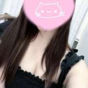 ヒメ日記 2025/05/15 14:21 投稿 白鳥 せいら コンフォート